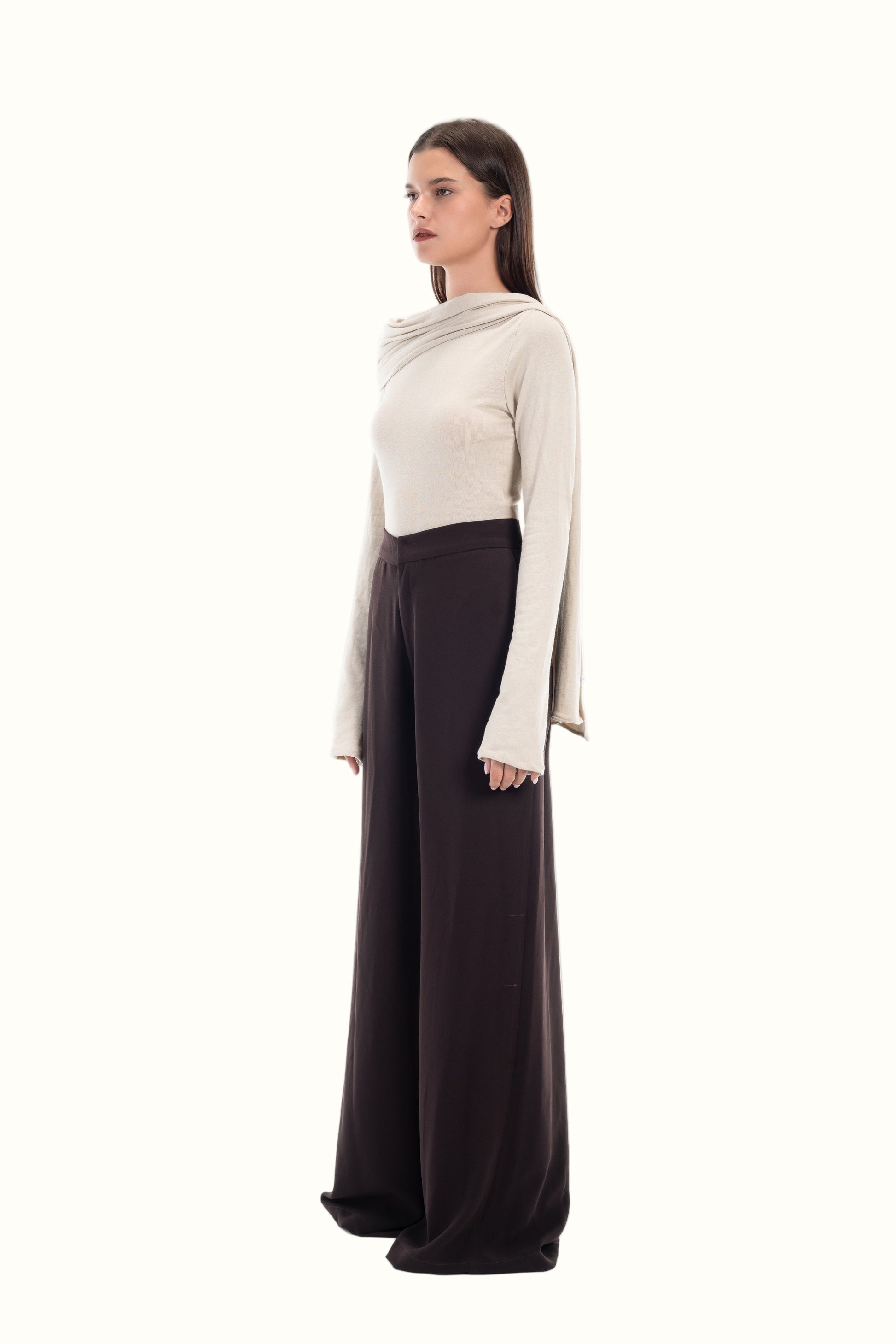 Woman wearing a cream top and dark brown wide leg tailored pants on a white background